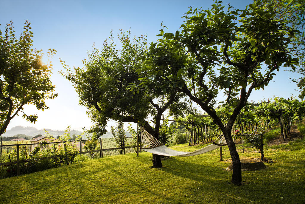 Corte Delle Cicale Bed and Breakfast Bardolino Zewnętrze zdjęcie