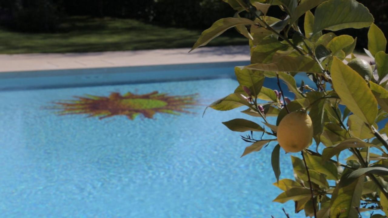 Corte Delle Cicale Bed and Breakfast Bardolino Zewnętrze zdjęcie